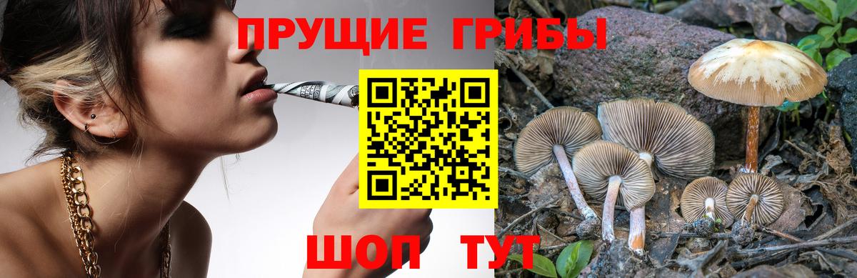 Псилоцибиновые грибы GOLDEN TEACHER  Вход с VPN  Псков 